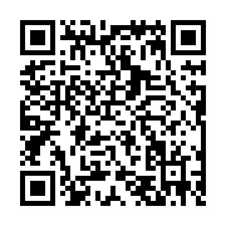 QR code for D538N