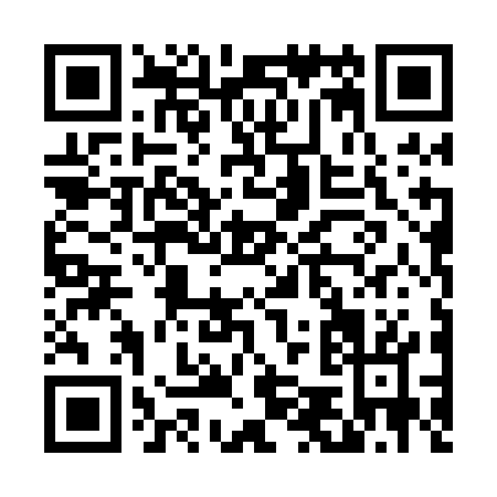 QR code for D540G