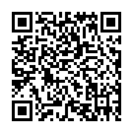 QR code for D540X