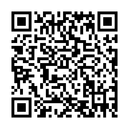 QR code for D541D