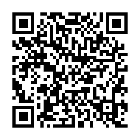 QR code for D541NK