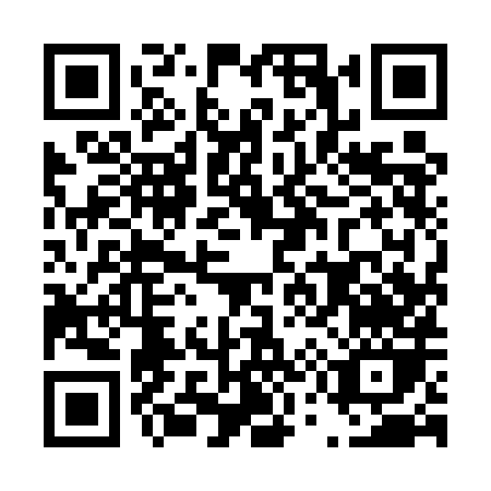 QR code for D595H