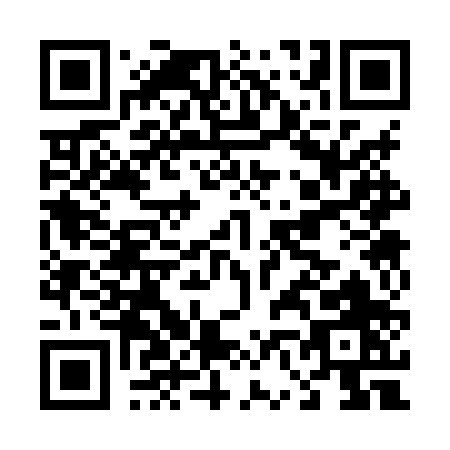 QR code for D638P