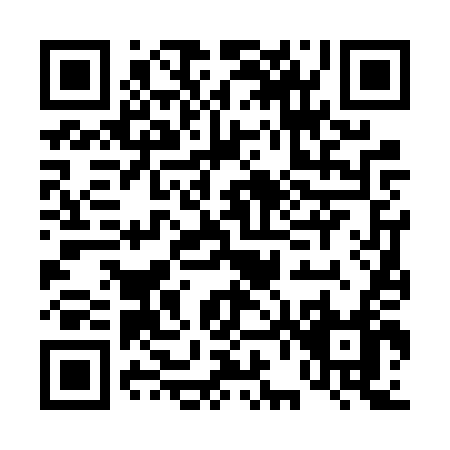QR code for D666T