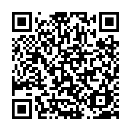 QR code for plate D67 3CC