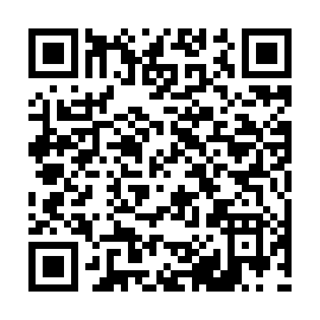 QR code for D819H