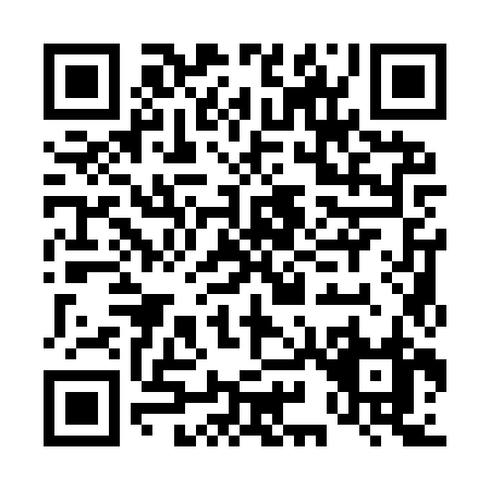 QR code for D919Z