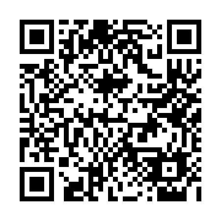 QR code for D933EF