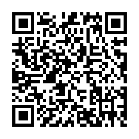QR code for D959X