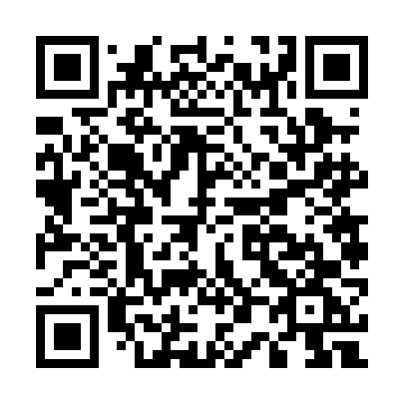 QR code for plate E06 0FG