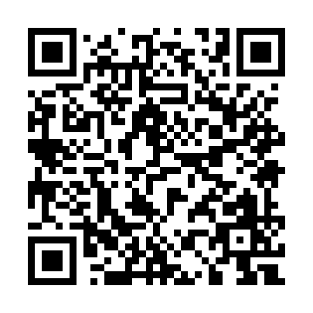 QR code for E095Y
