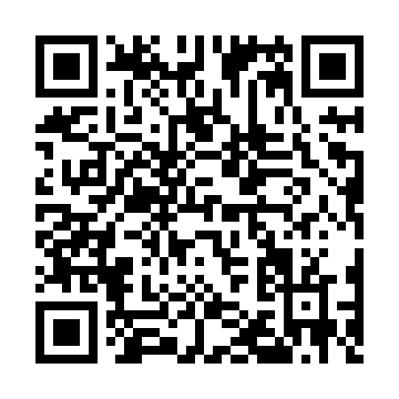 QR code for E118V