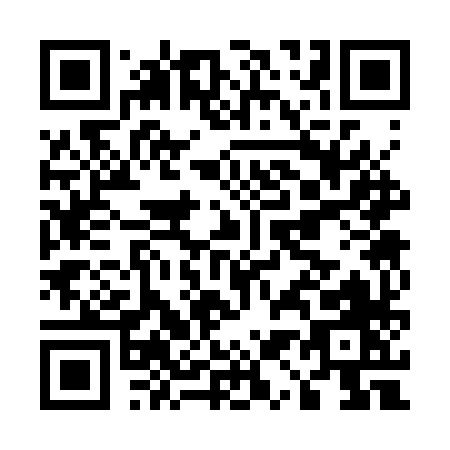 QR code for E133X