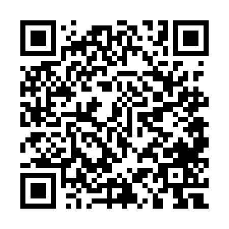 QR code for E161L