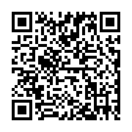 QR code for E161Z