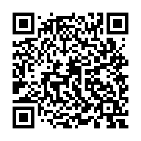 QR code for plate E17 3YV