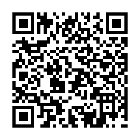 QR code for E217P