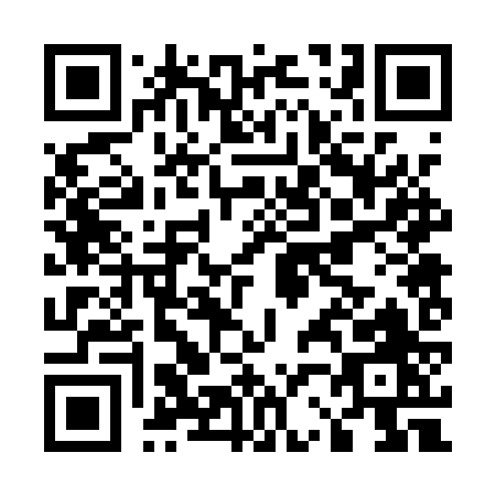 QR code for E221Z