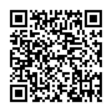 QR code for E291M