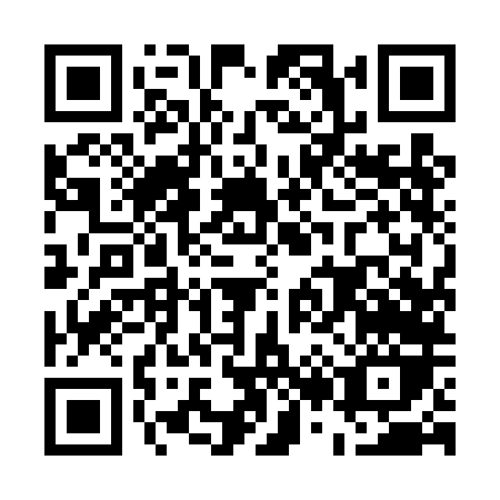 QR code for E294L