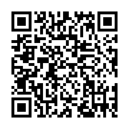 QR code for E295G