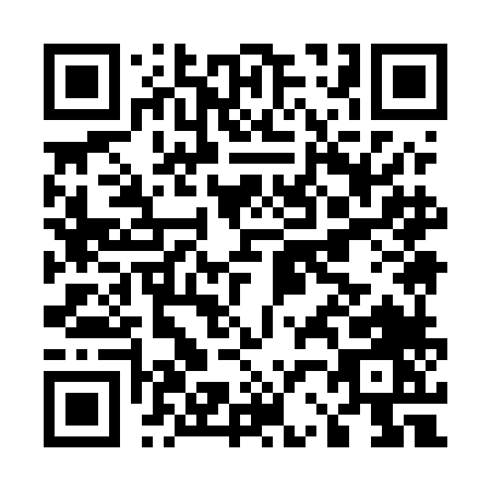 QR code for E295L