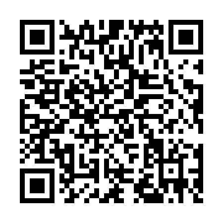 QR code for E296Z