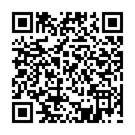 QR code for E303P