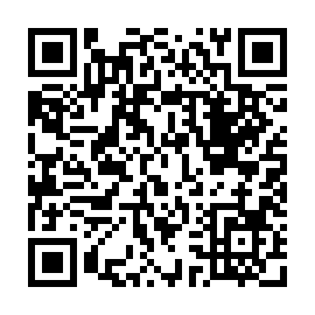 QR code for E313H