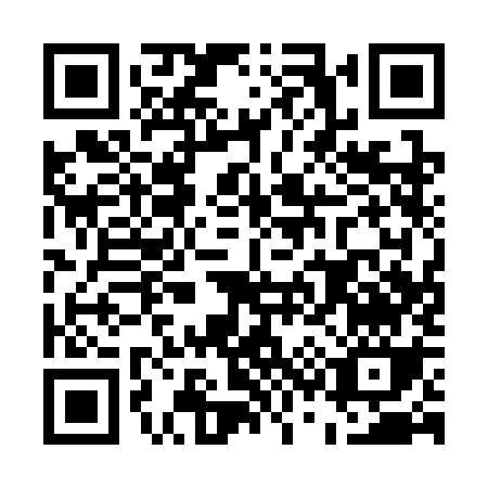QR code for E313K