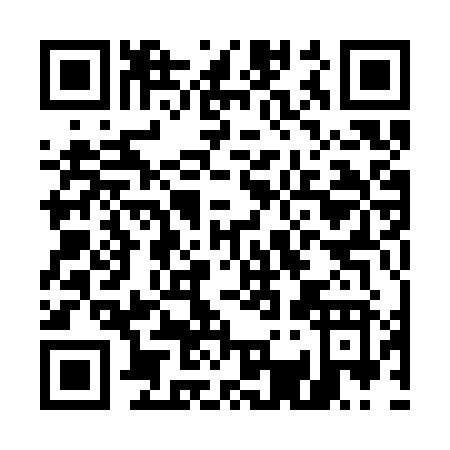 QR code for E313Z
