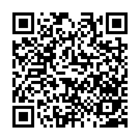 QR code for E333V