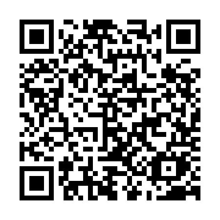QR code for E339OM