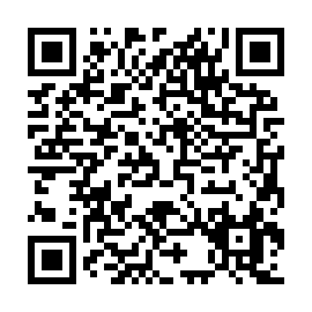 QR code for E339S