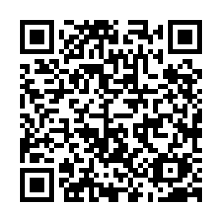 QR code for plate E38 1CM