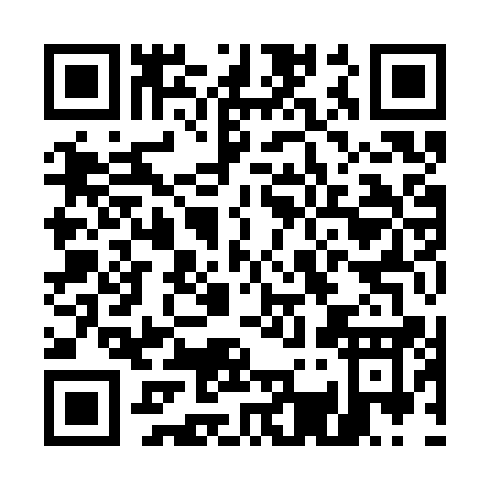 QR code for E393Q