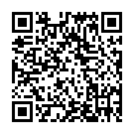 QR code for E401I