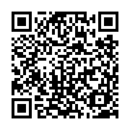 QR code for plate E41 7FM