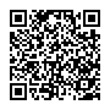 QR code for E446S
