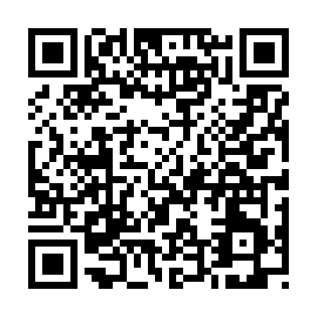 QR code for E446V