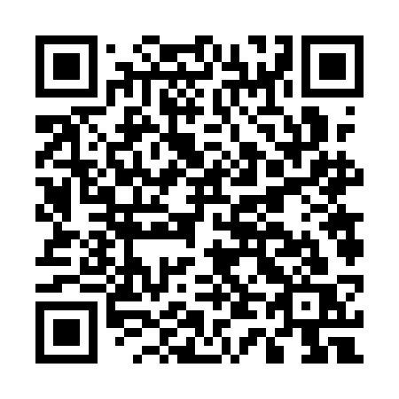 QR code for plate E46 1CS