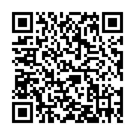 QR code for E595P