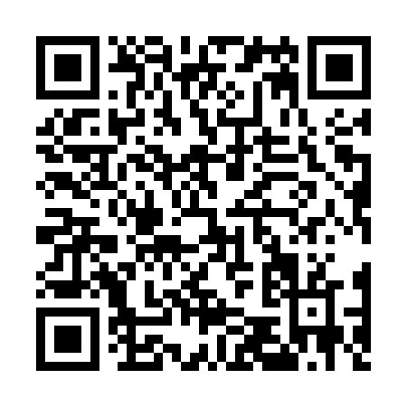 QR code for E595V