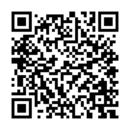 QR code for E655Q
