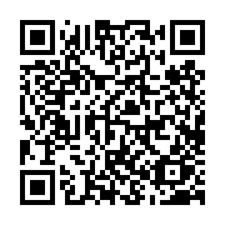 QR code for plate E80 4ZP