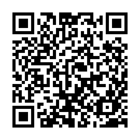 QR code for plate E81 1IN