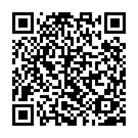 QR code for E951FX