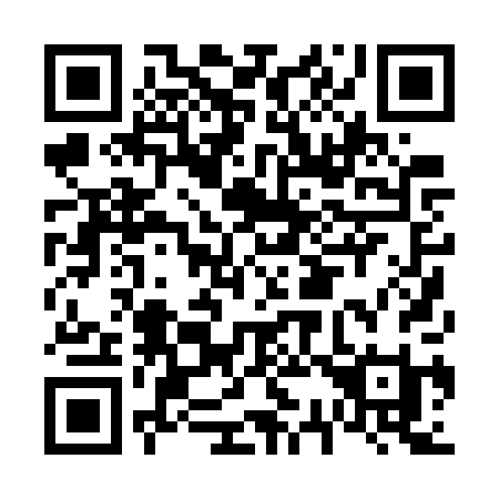 QR code for F307PI