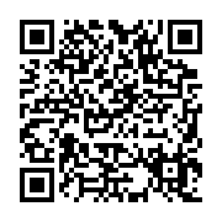 QR code for F313P