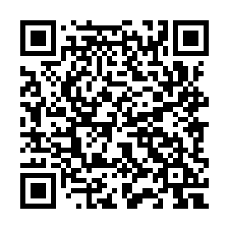 QR code for F389XE